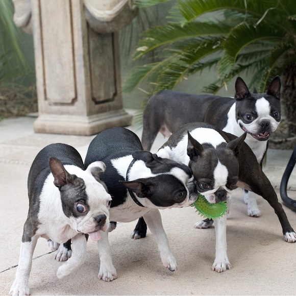 Meet your Posher, Michael - Picture 2 of 7